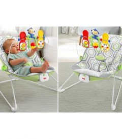 Fisher-Price-Babys-Bouncer-Geo-Meadow.jpg