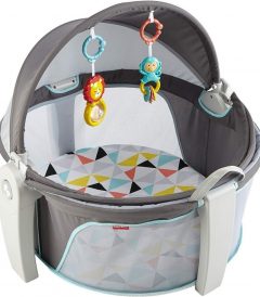 Fisher-Price-On-the-Go-Baby-Dome-GreyBlueYellowWhite.jpg