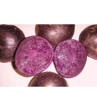 PURPLE-MAJESTY-SEED-POTATOES-Bulbs-Tubers-2Lb-deep-purple-color-inside-and-out.jpg