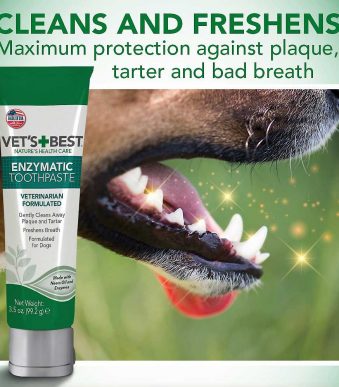 Vets-Best-Enzymatic-Dog-Toothpaste-Teeth-Cleaning-and-Fresh-Breath-Dental-Care.jpg